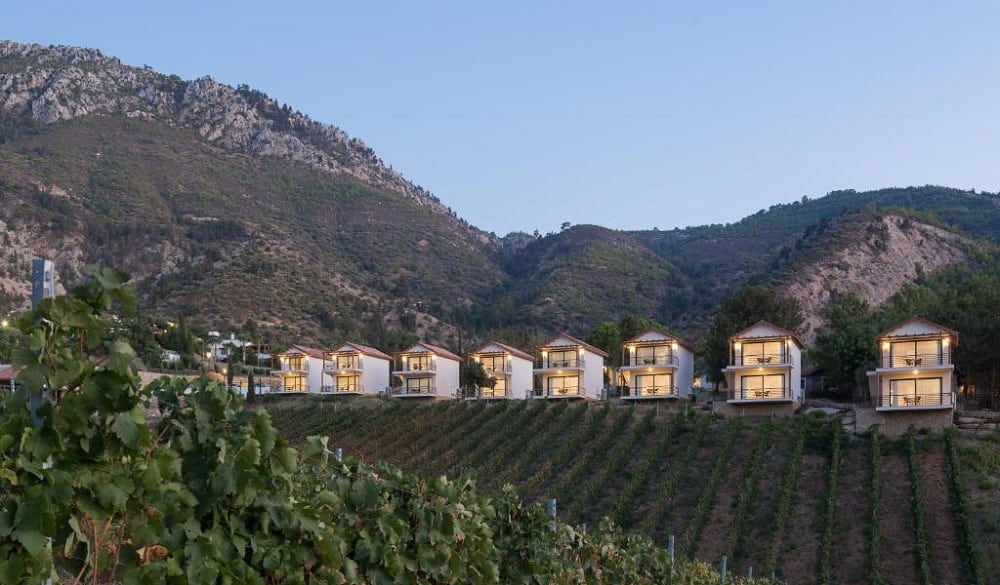 hotel resort chipre