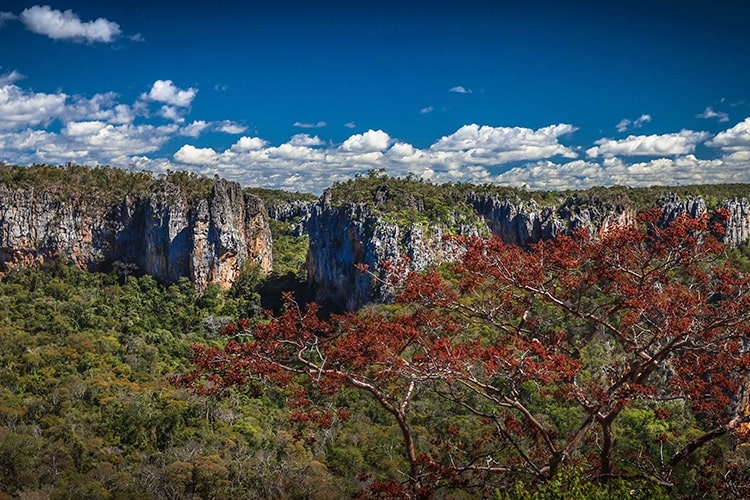 cânion peruaçu minas gerais
