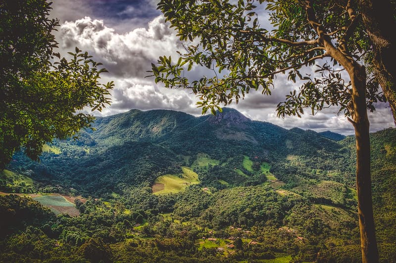 o que fazer gonçalves mg