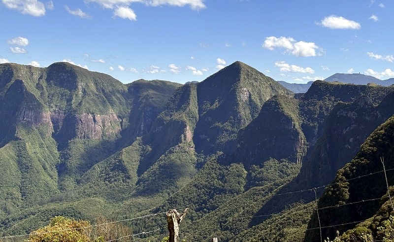 pirâmide urubici corvo branco