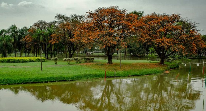 O que Fazer em Piracicaba / SP