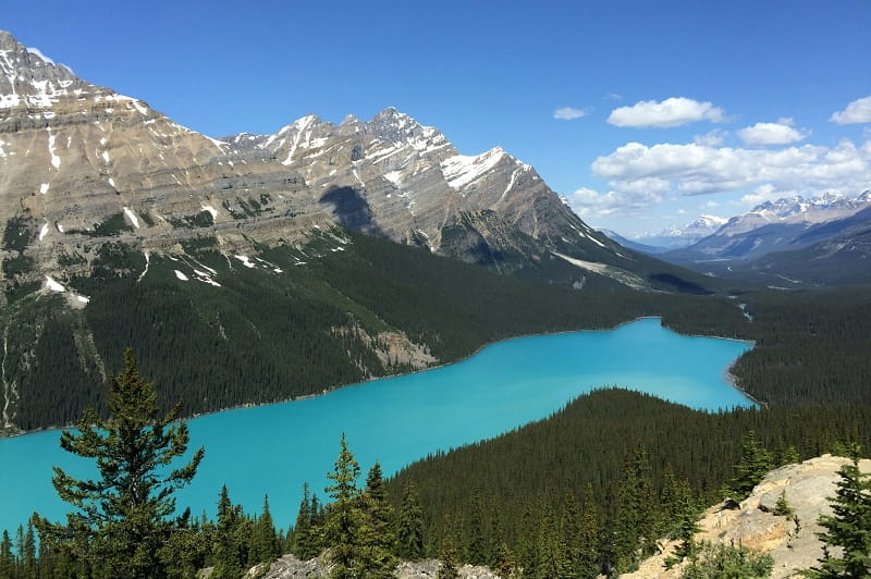 Peyto Lake de águas azul-turquesa nas Montanhas Rochosas entre Banff, Canmore e Jasper