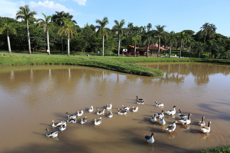 O que Fazer em Campinas interior de São Paulo